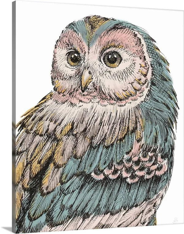 Beautiful Owls I Pastel, Canvas Wall Art, 16x20, Great Big Canvas