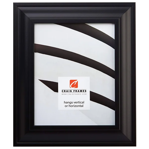 Craig Frames Contemporary Upscale Satin Black Picture Frame